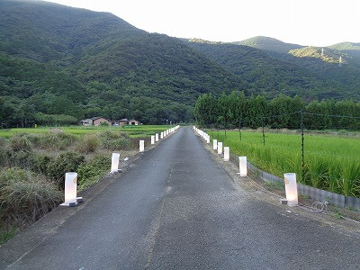 DSC03949