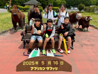CYIC7953