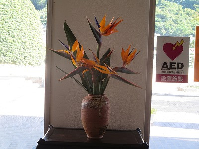 IMG_8860